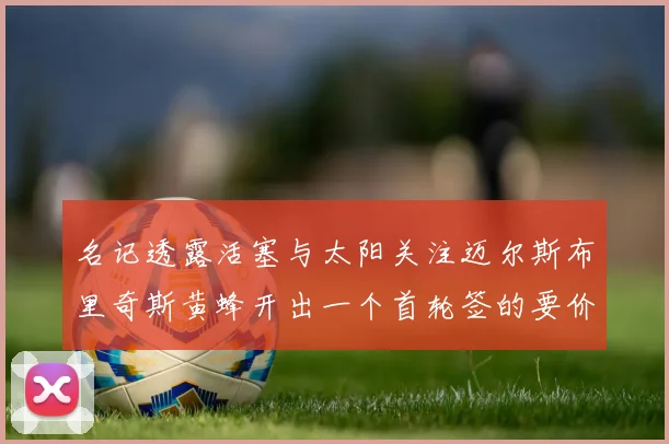 名记透露活塞与太阳关注迈尔斯布里奇斯黄蜂开出一个首轮签的要价