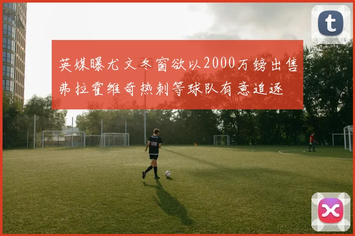 英媒曝尤文冬窗欲以2000万镑出售弗拉霍维奇热刺等球队有意追逐