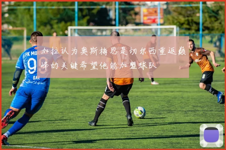 加拉认为奥斯梅恩是切尔西重返巅峰的关键希望他能加盟球队